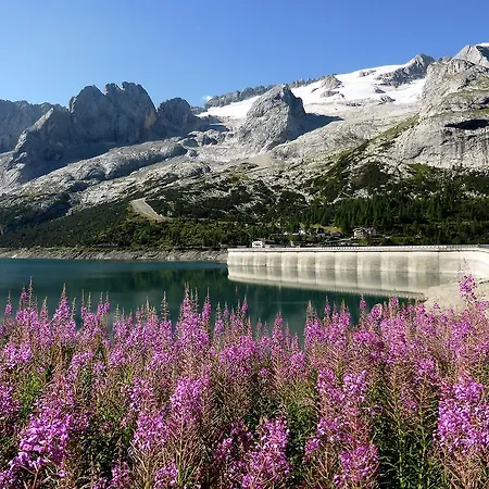 Rifugio Fedaia